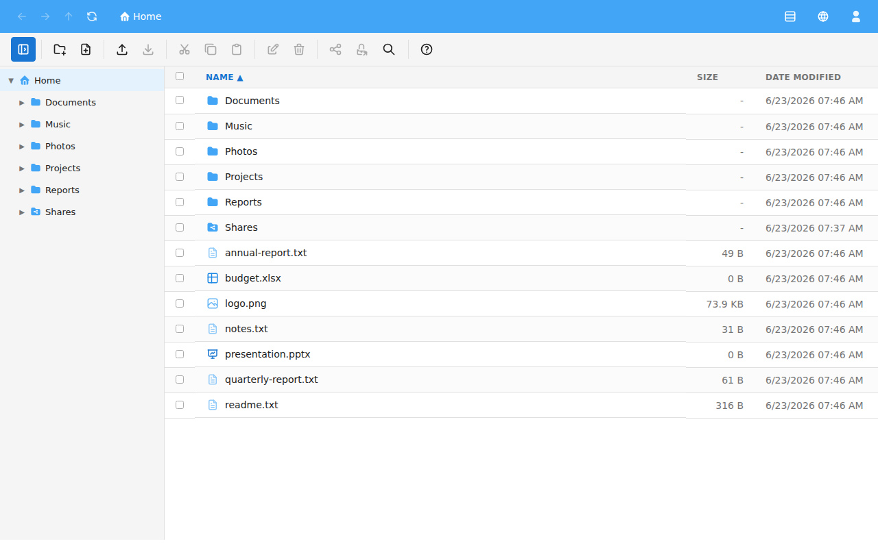 The File Manager