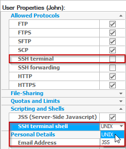 SSH Terminal Acces